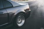 Ford Mustang SVT Cobra on CCW Wheels 2003 года